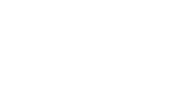 ZN Original